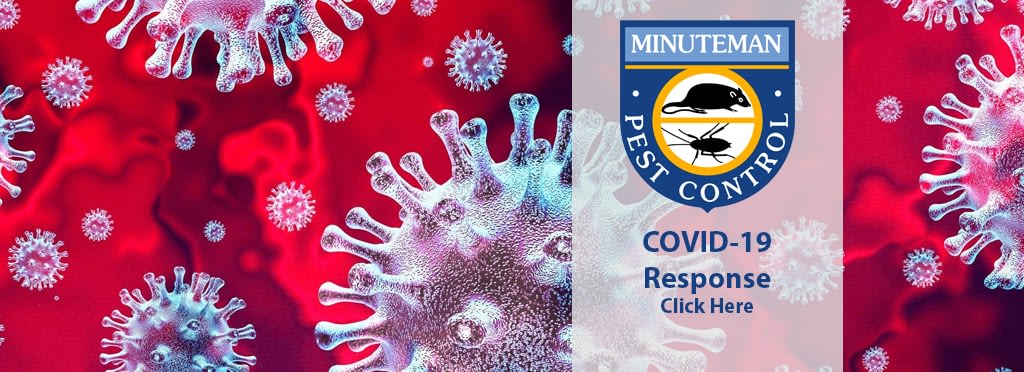 Minuteman Pest Control Covid-19 Response