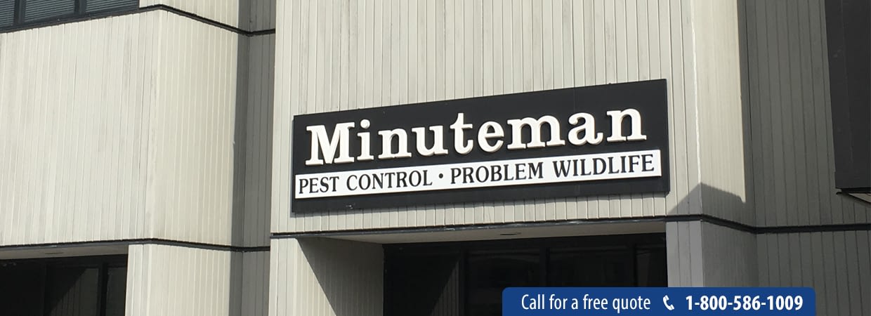 Minuteman Pest Control Header